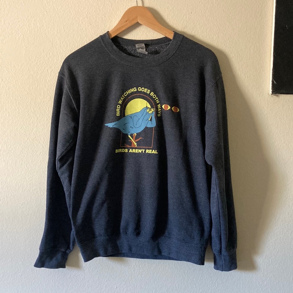 Gray “Birds Aren’t Real” Crew Neck Sweater